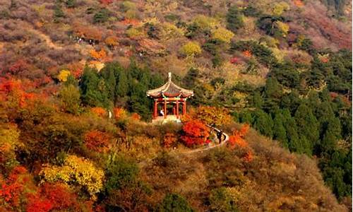 梦幻西游香山红叶比例_梦幻北京香山红叶金价