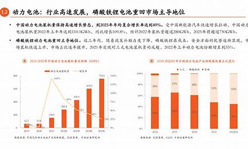 国内锂价格走势图_中国锂油价值分析