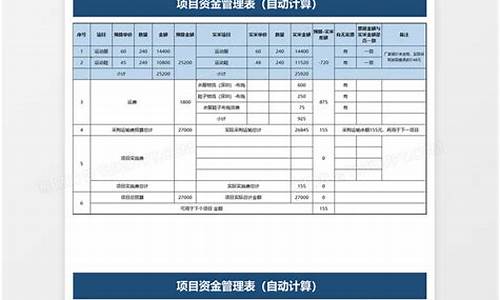 资金价值调研报告模板_资金价值调研报告模板下载