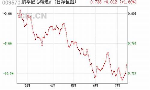 009570基金概况_009570基金价格