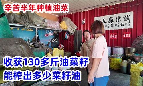 菜籽油多钱一斤农家_农村130斤菜籽油价格