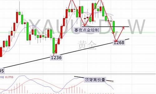 暮夜点金价值分析_暮夜点金直播