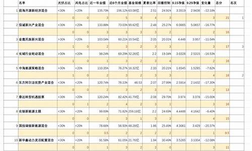 新能源基金参考什么指数_新能源基金价值表格